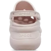 Bae Zoccoli