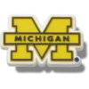 Ciondoli Jibbitz™ dell’Università del Michigan