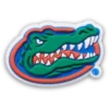 Ciondoli Jibbitz™ dell’Università della Florida Ciondoli Jibbitz™ dell’Università della Florida