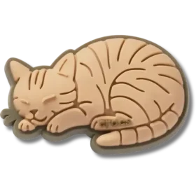 Ciondoli Jibbitz™ “Gatto tigrato”