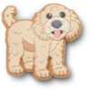 “Ciondolo per scarpe Jibbitz Golden Doodle Puppy” “Ciondolo per scarpe Jibbitz Golden Doodle Puppy”
