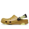 Classic Clog Crocs Beach “Green”