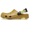 Classic Clog Crocs Beach “Green”