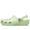 Sandali unisex Crocs Classic Beach grigi e verdi