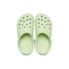 Sandali unisex Crocs Classic Beach grigi e verdi